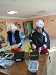 В отделении дневного пребывания для граждан пожилого возраста ТЦСОН Витебского района начался посевной сезон